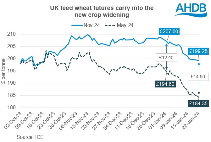 Chart showing the widening gap or 'carry' between May-24 and Nov-24 UK feed wheat futures